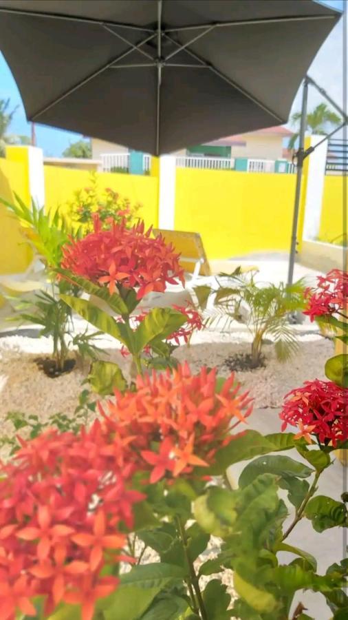 One Happy Stay Santa Cruz - Casita Екстер'єр фото